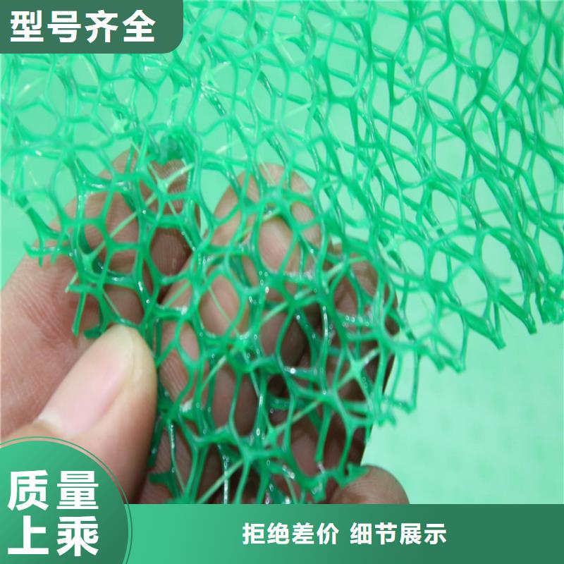 三维植被网,通风降噪丝网品质有保障