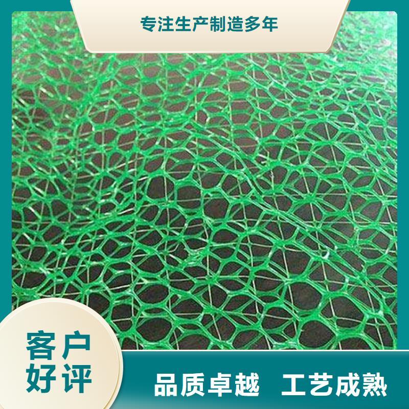 三维植被网,通风降噪丝网品质有保障