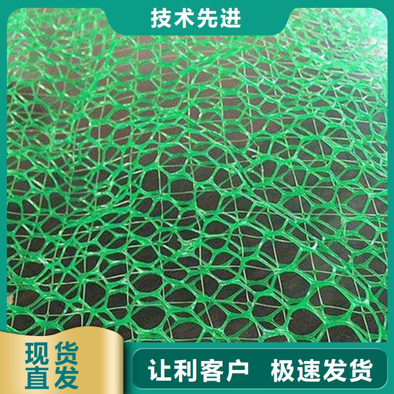 三维植被网防渗膜产地批发