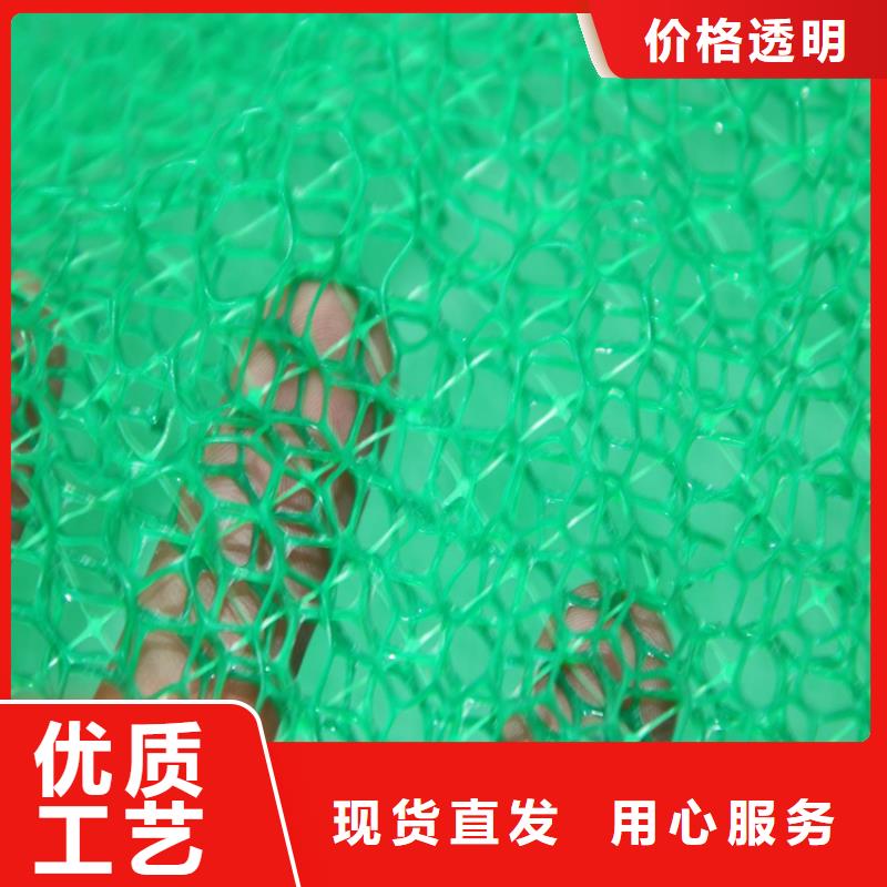 三维植被网,通风降噪丝网品质有保障