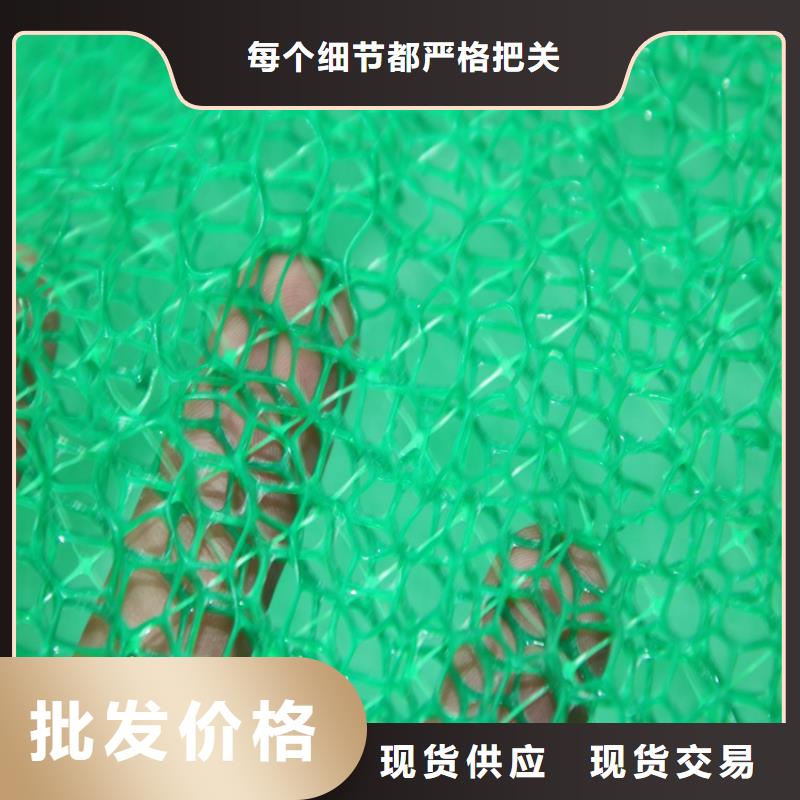 三维植被网防渗膜产地批发