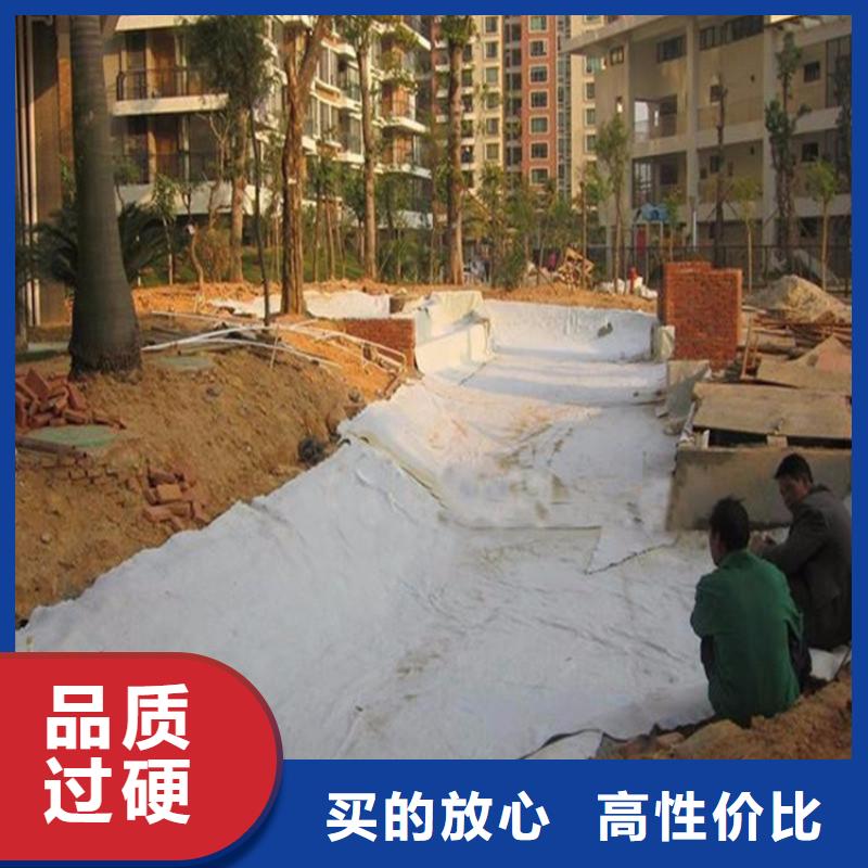 膨润土防水毯HDPE土工膜支持定制贴心售后