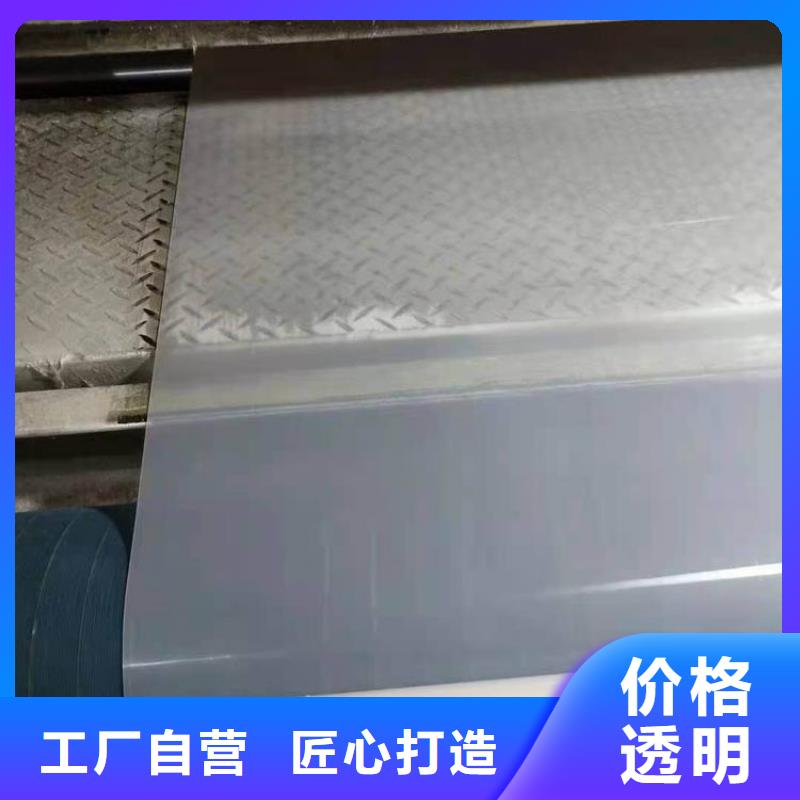 防水板,土工膜货源直销