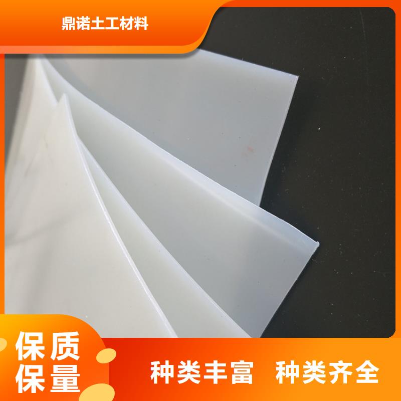 防水板,土工膜货源直销