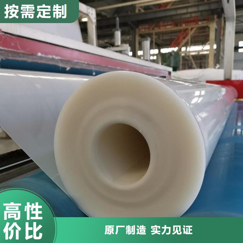 防水板,土工膜货源直销