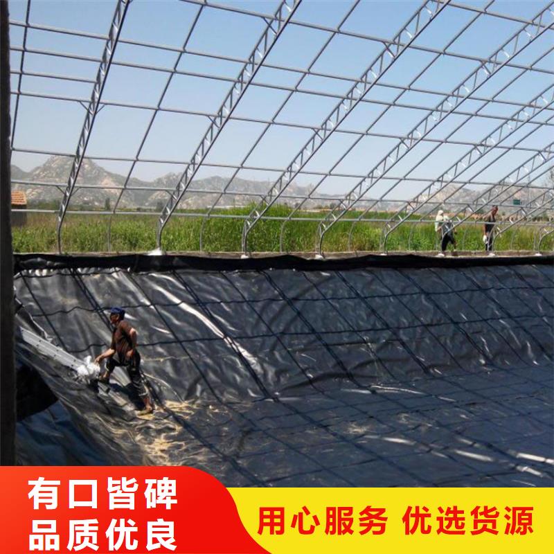 土工膜-复合膜工厂直销