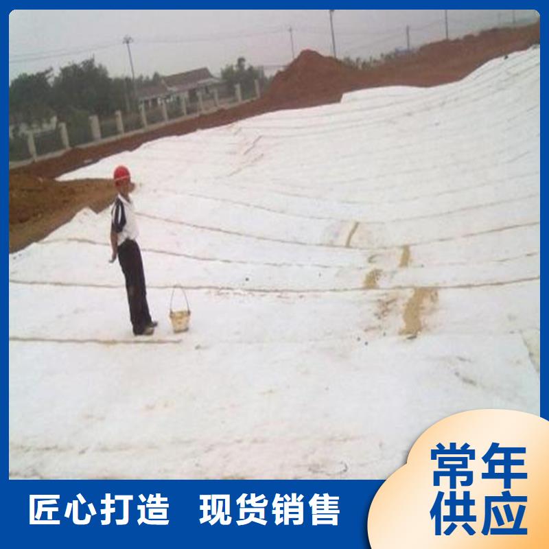 膨润土防水毯-植草格定金锁价