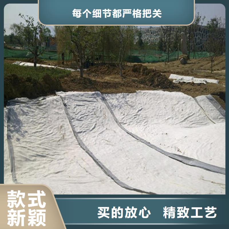 膨润土防水毯-植草格定金锁价