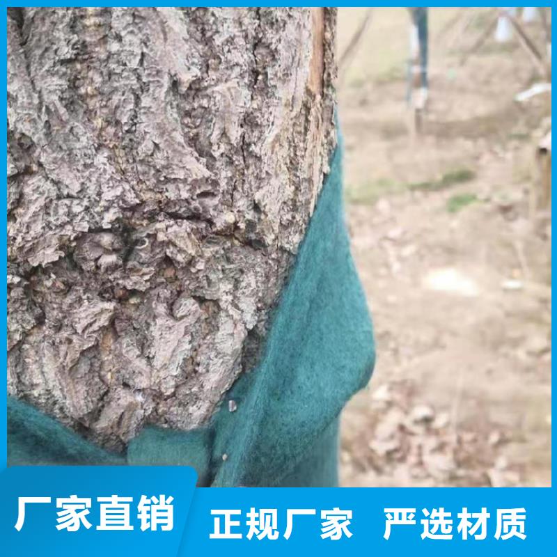 裹树布土工膜售后服务完善