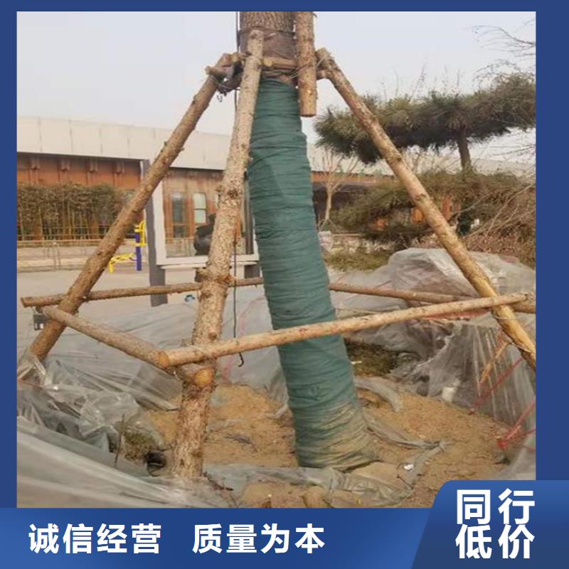 裹树布-HDPE土工膜加工定制