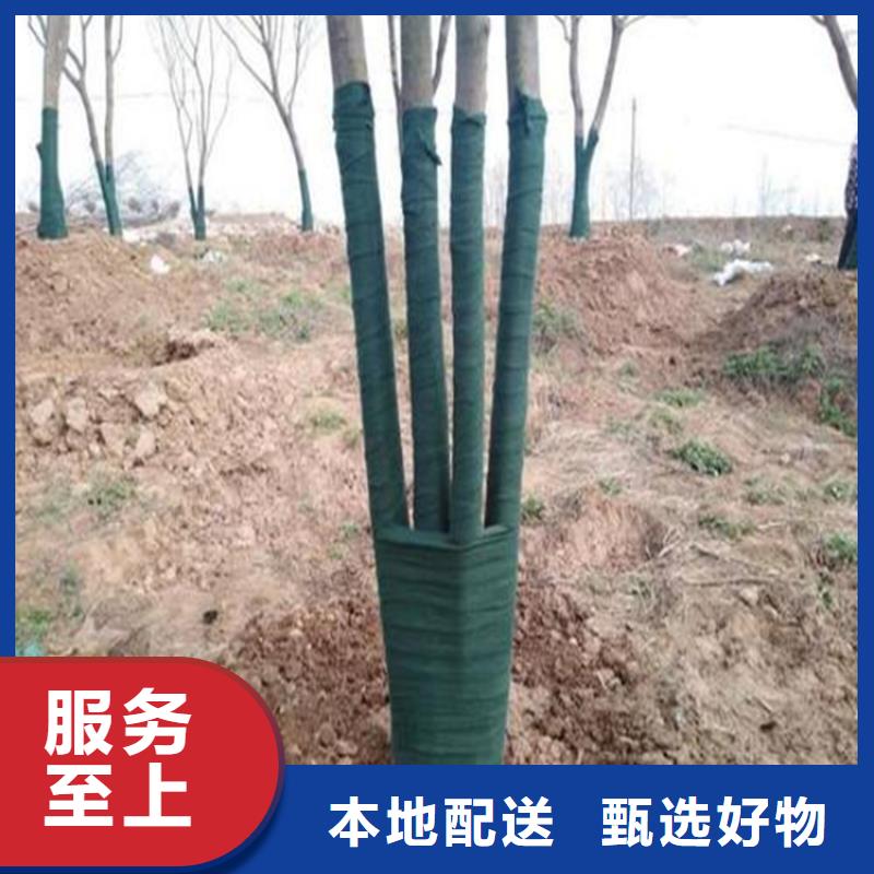 裹树布土工膜售后服务完善