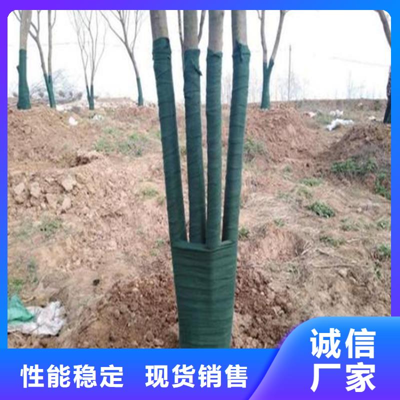 裹树布-HDPE土工膜加工定制