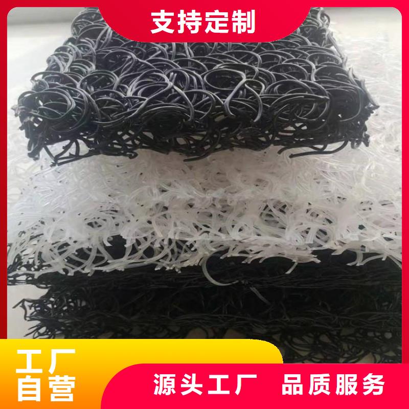 【土工席垫】三维植被网符合行业标准