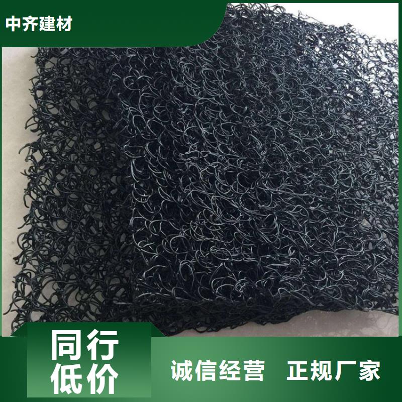 【土工席垫】三维植被网符合行业标准