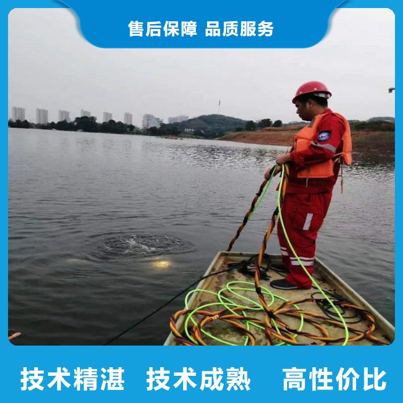 水下蛙人救援团队多家服务案例