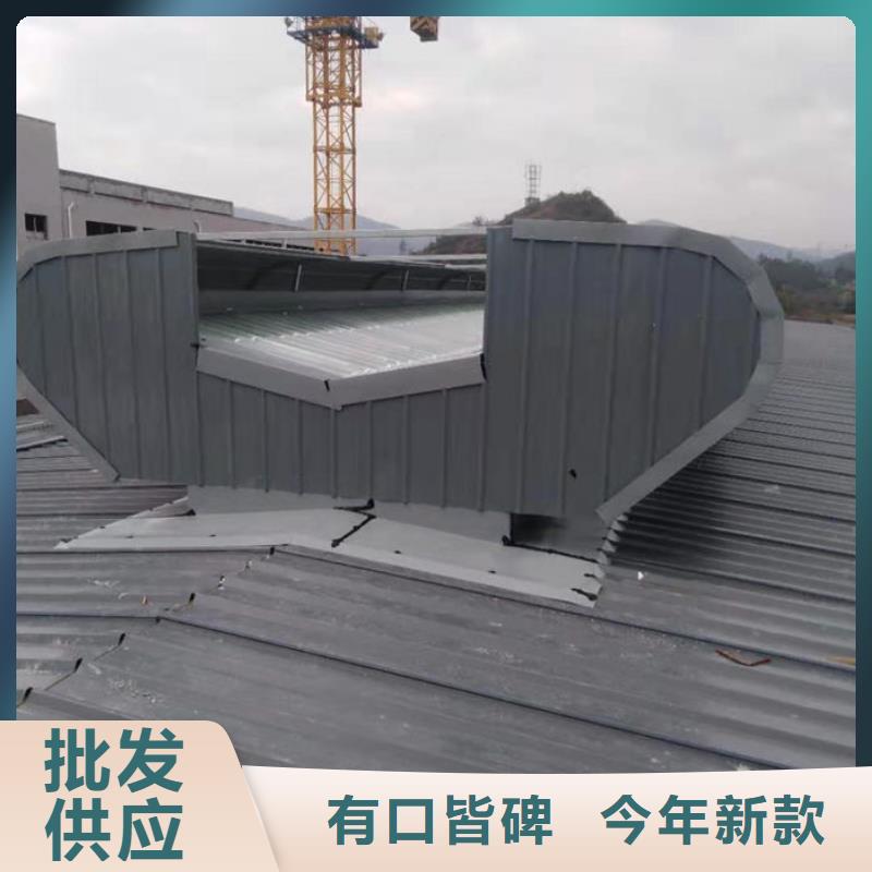 10型通风天窗（开敞式横向天窗）侧立面图