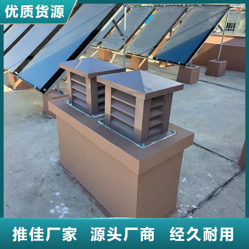 D系列排气道成品烟囱帽内外喷塑