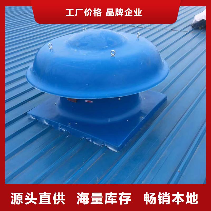 D系列四孔风帽排气道风帽专家