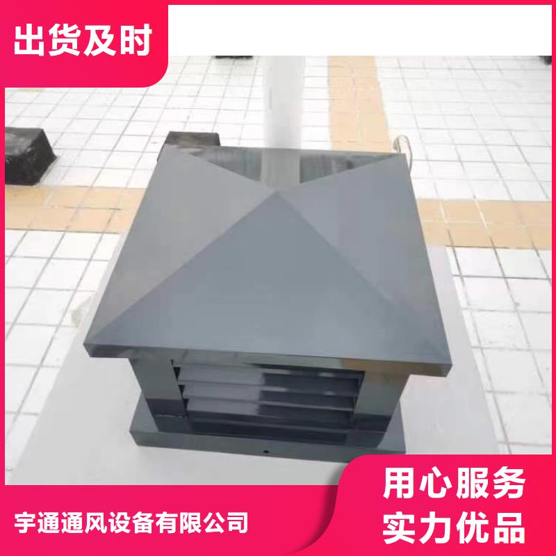 D系列排气道成品烟囱帽内外喷塑