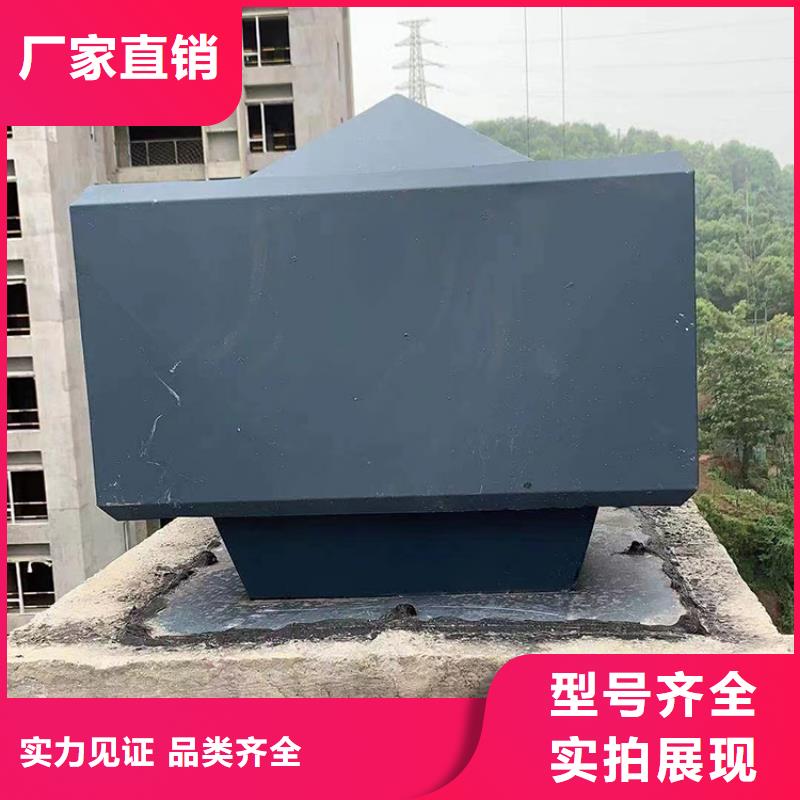 县止回式风帽来厂考察
