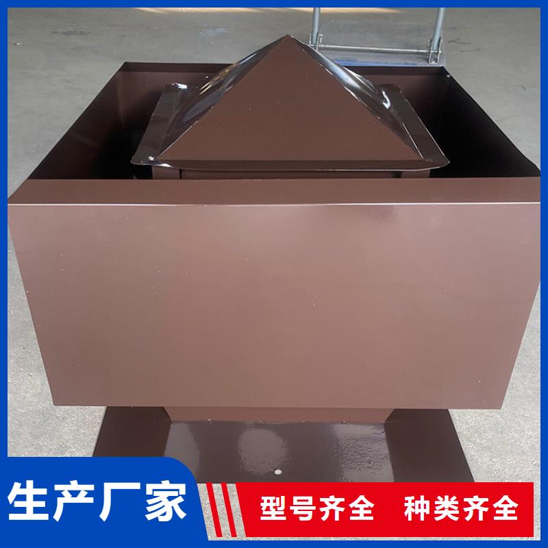 金属直排风帽实力老厂