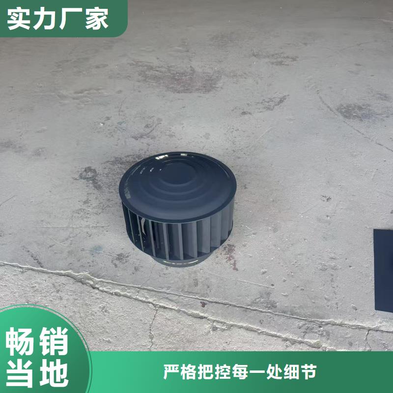 塔式防倒灌风帽性价比高
