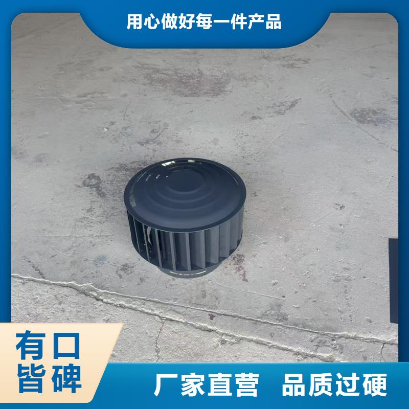 B系列抜气风帽良心厂家