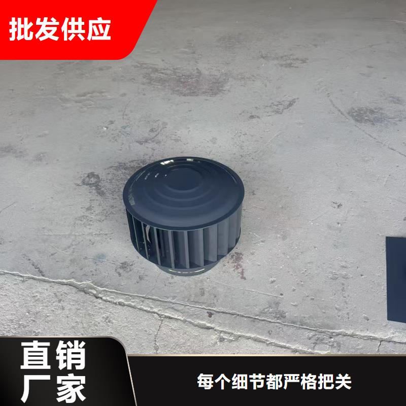 BPS型无动力风帽本地厂家