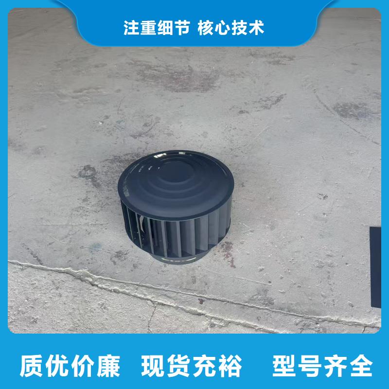 A系列A-FM-BPS300型风帽价格合理