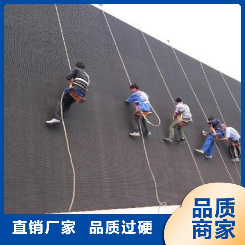 外墙清洗化粪池清理高性价比