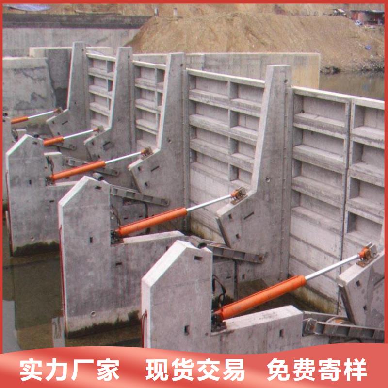 翻板闸门品质保证实力见证