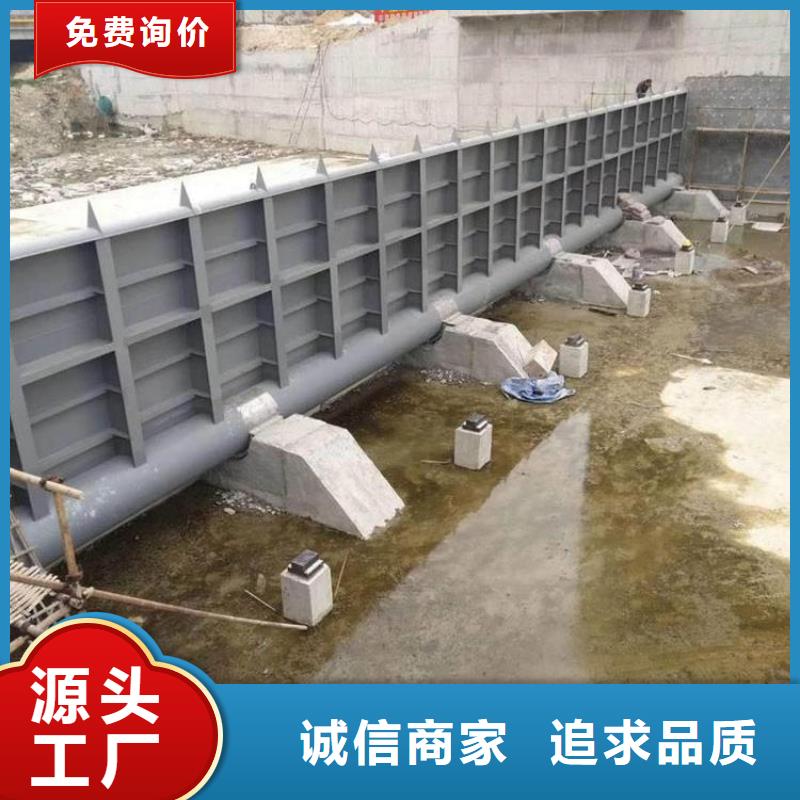  翻板闸门实力商家