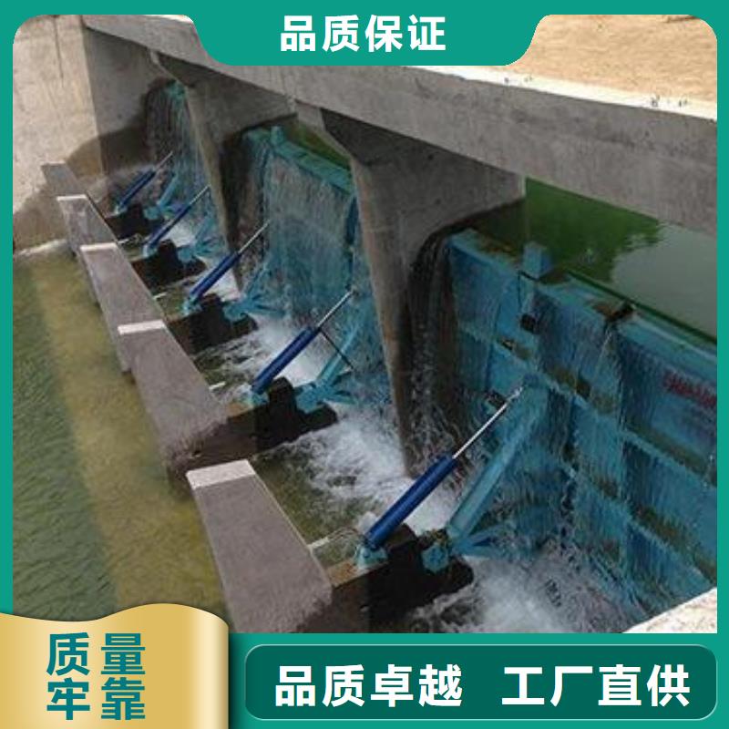  翻板闸门质优价保