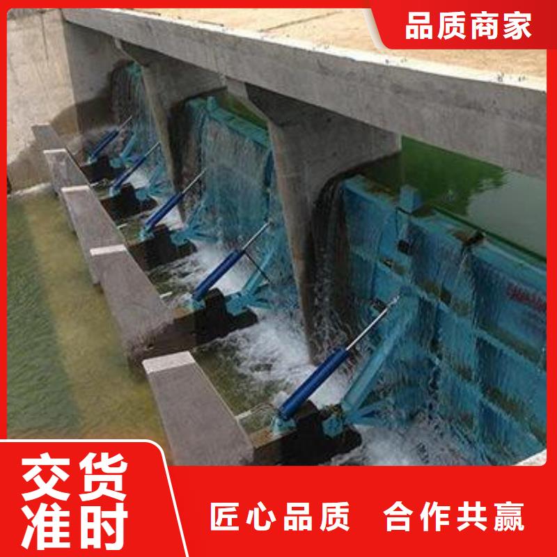  翻板闸门直销厂家