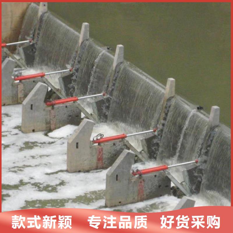  翻板闸门长期供应