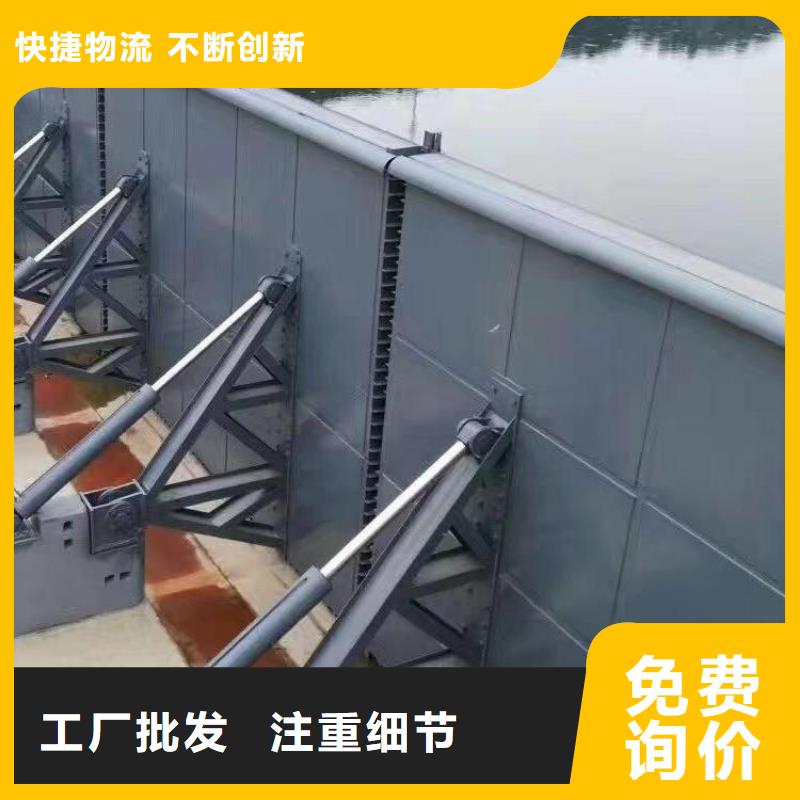  翻板闸门N年专注