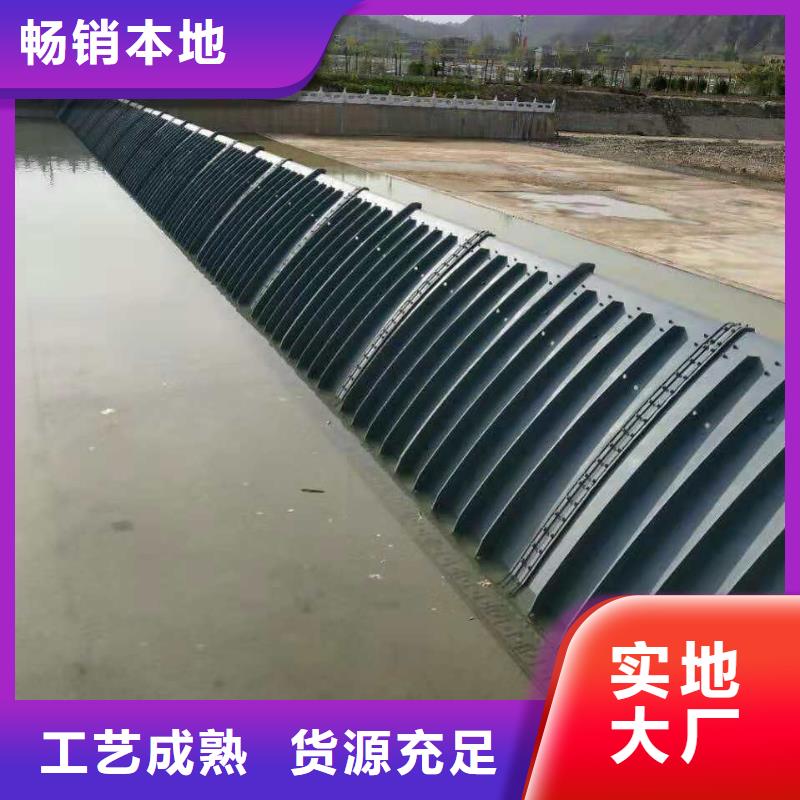  翻板闸门市场报价