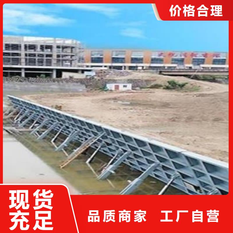  翻板闸门实力优品