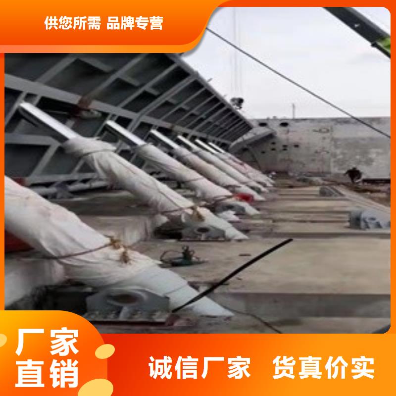  翻板闸门N年专注