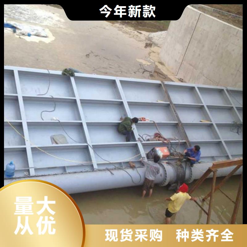 翻板闸门品质优良