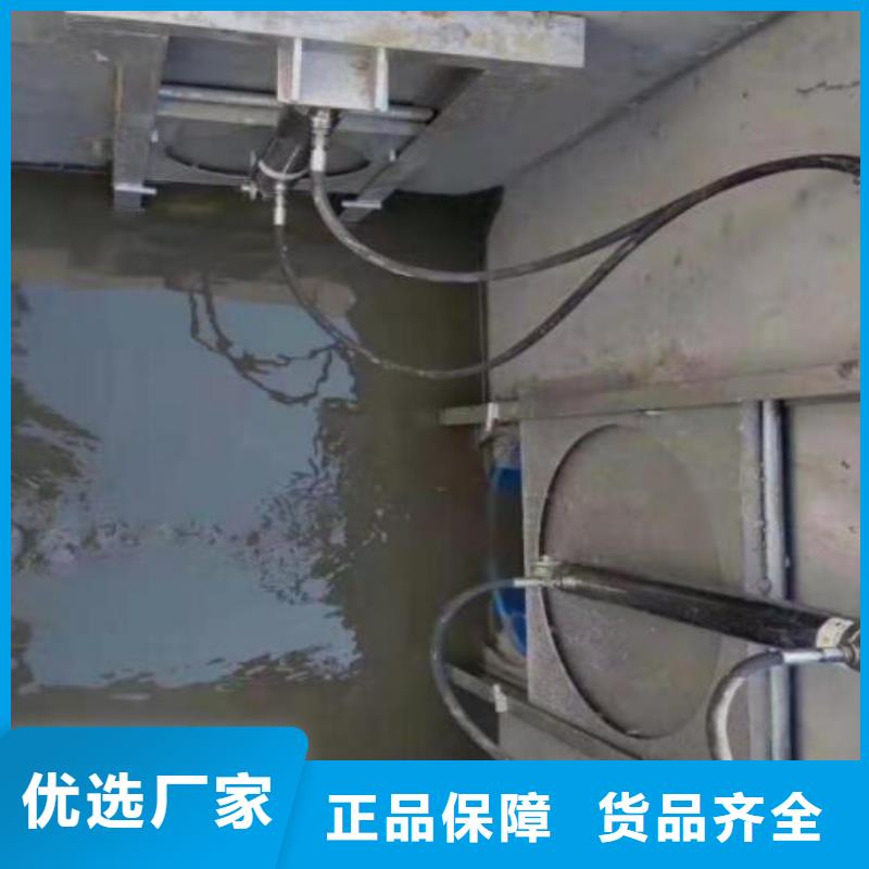 截流井闸门热销产品