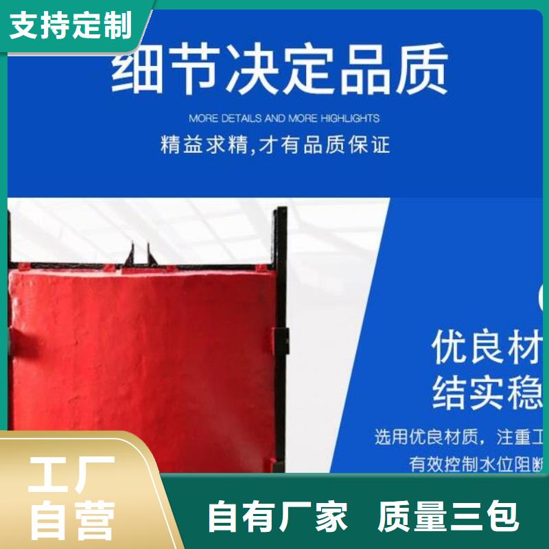  截流井闸门实力优品