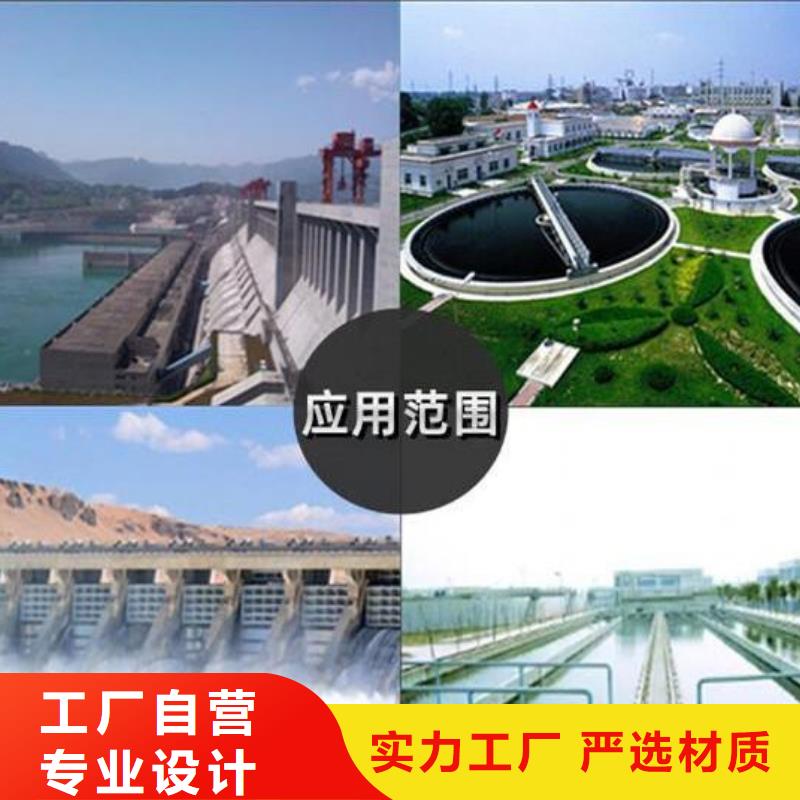 截流井闸门厂家