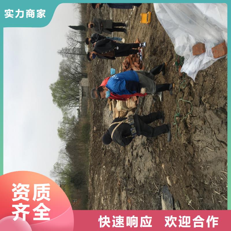 价格合理的潜水作业队伍公司