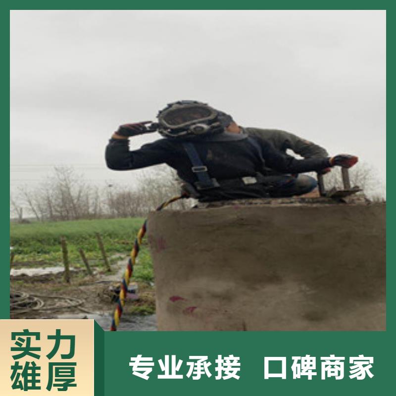 水鬼作业队伍品牌-报价_苏龙水下工程有限公司