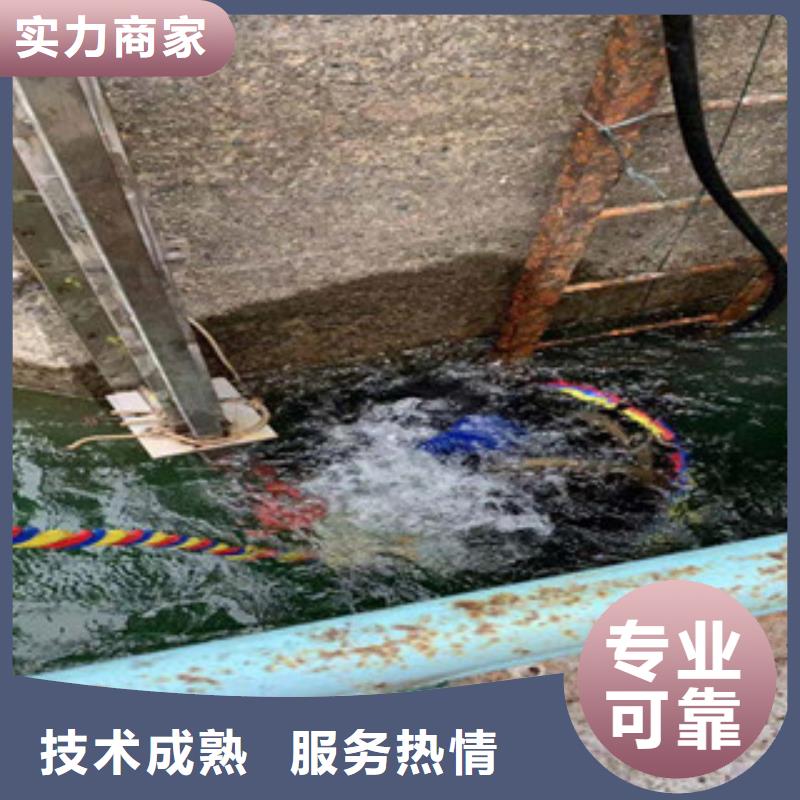 卖蛙人作业队伍的批发商
