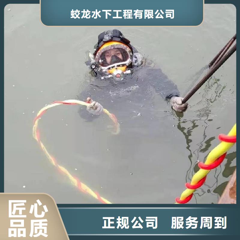 深圳蛙人作业队伍_可定制