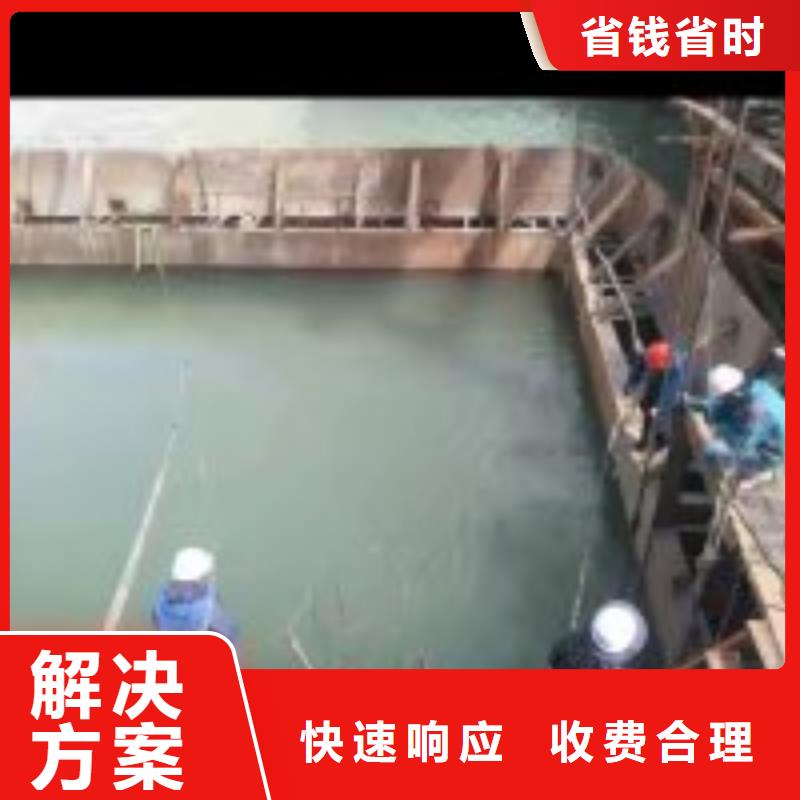 质优价廉的蛙人服务公司经销商