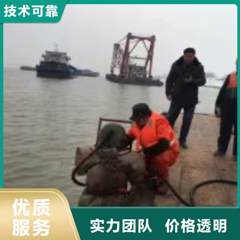 卖蛙人作业队伍的批发商