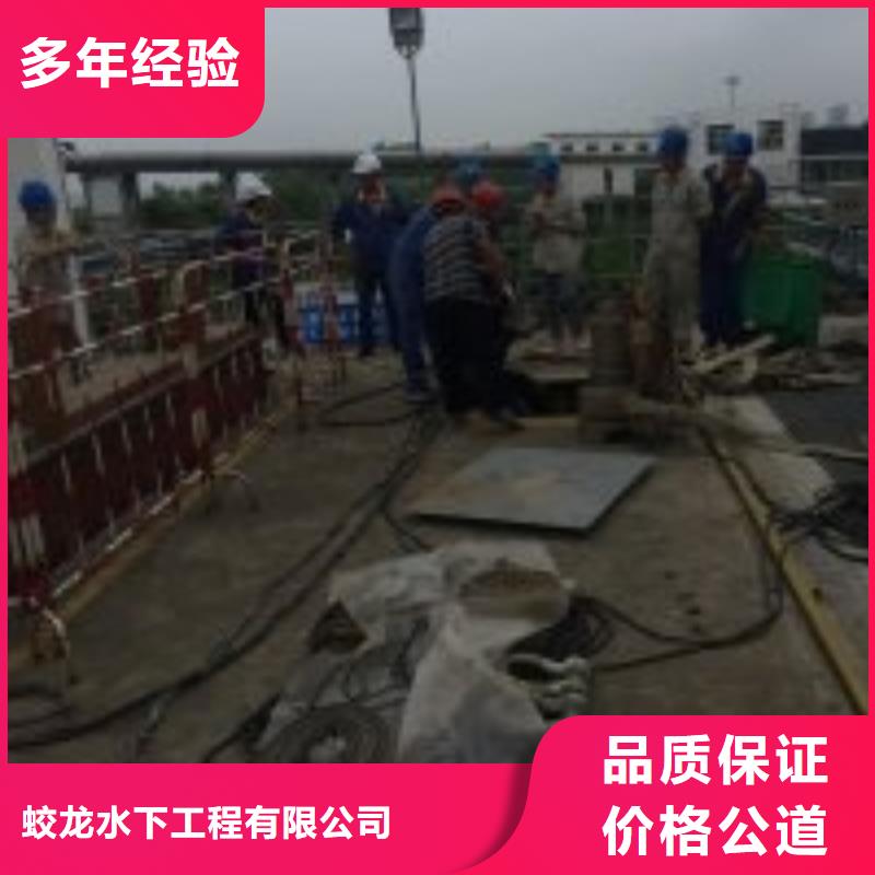 蛙人打捞队、蛙人打捞队技术参数